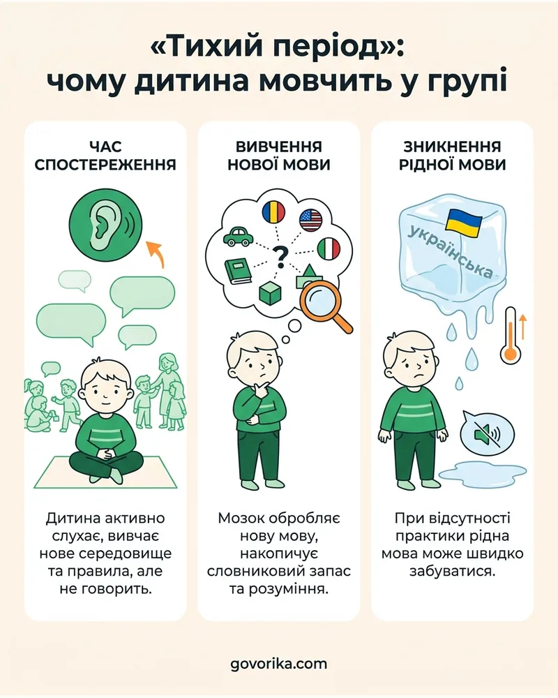 «Тихий період»: чому дитина мовчить у групі — інфографіка