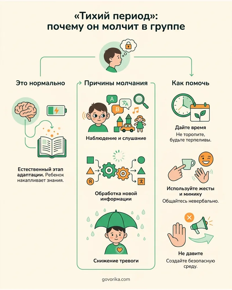 «Тихий период»: почему он молчит в группе — инфографика