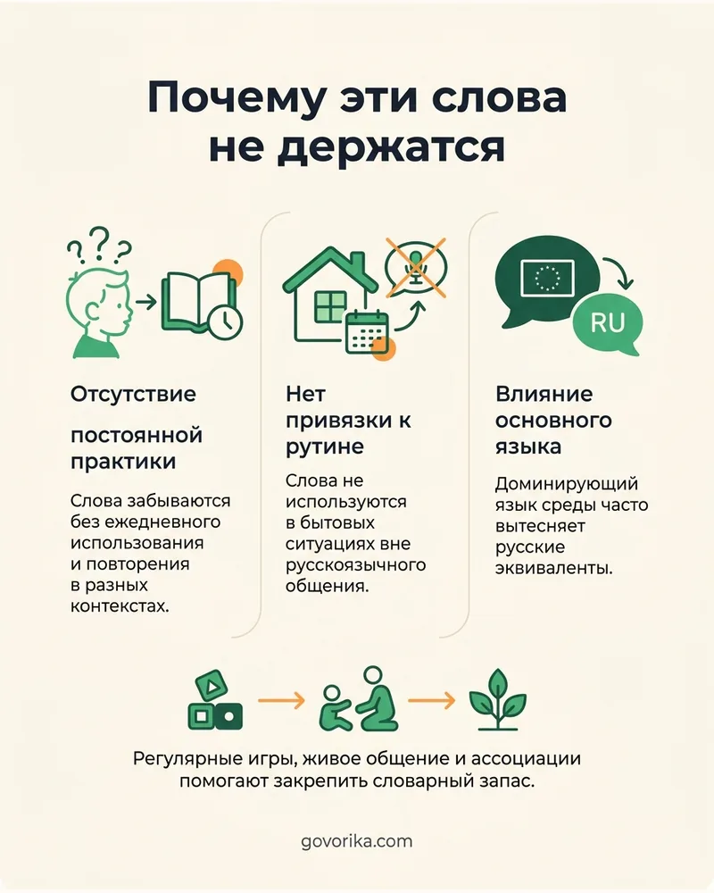 Почему эти слова не держатся — инфографика