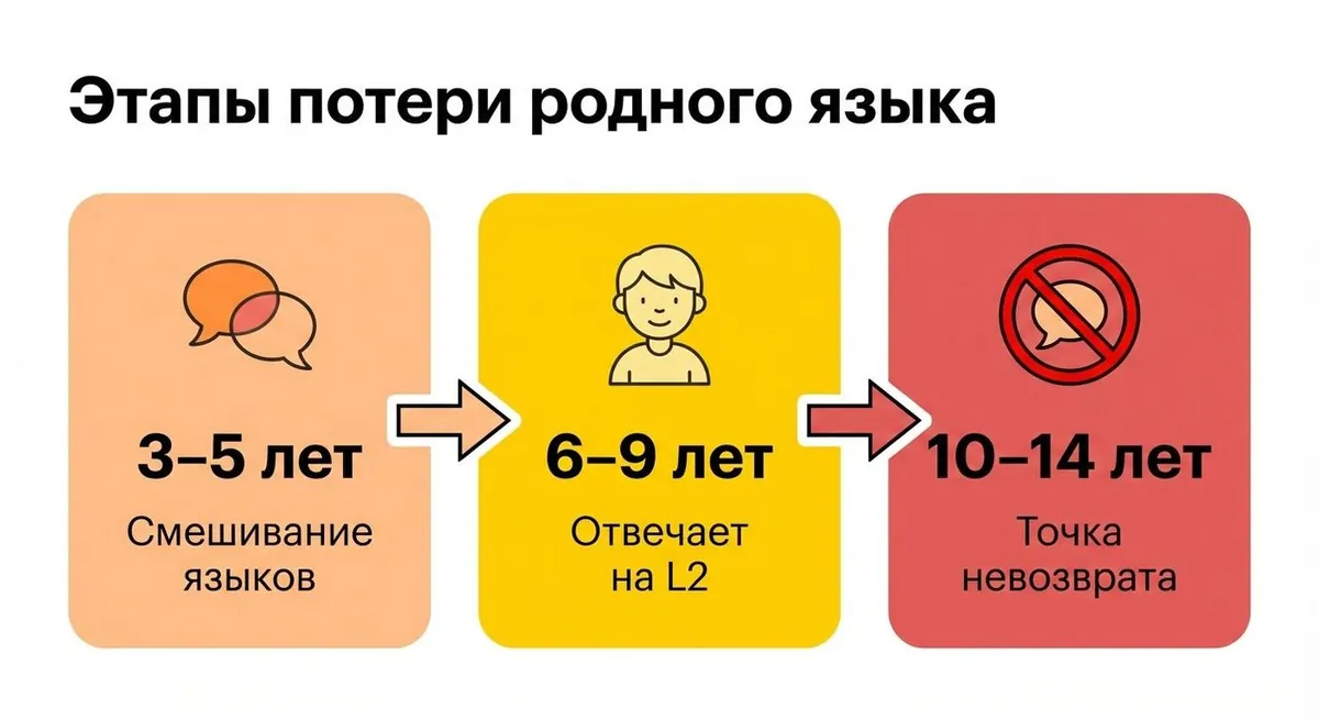 Инфографика: 3 этапа потери языка у ребёнка-билингва
