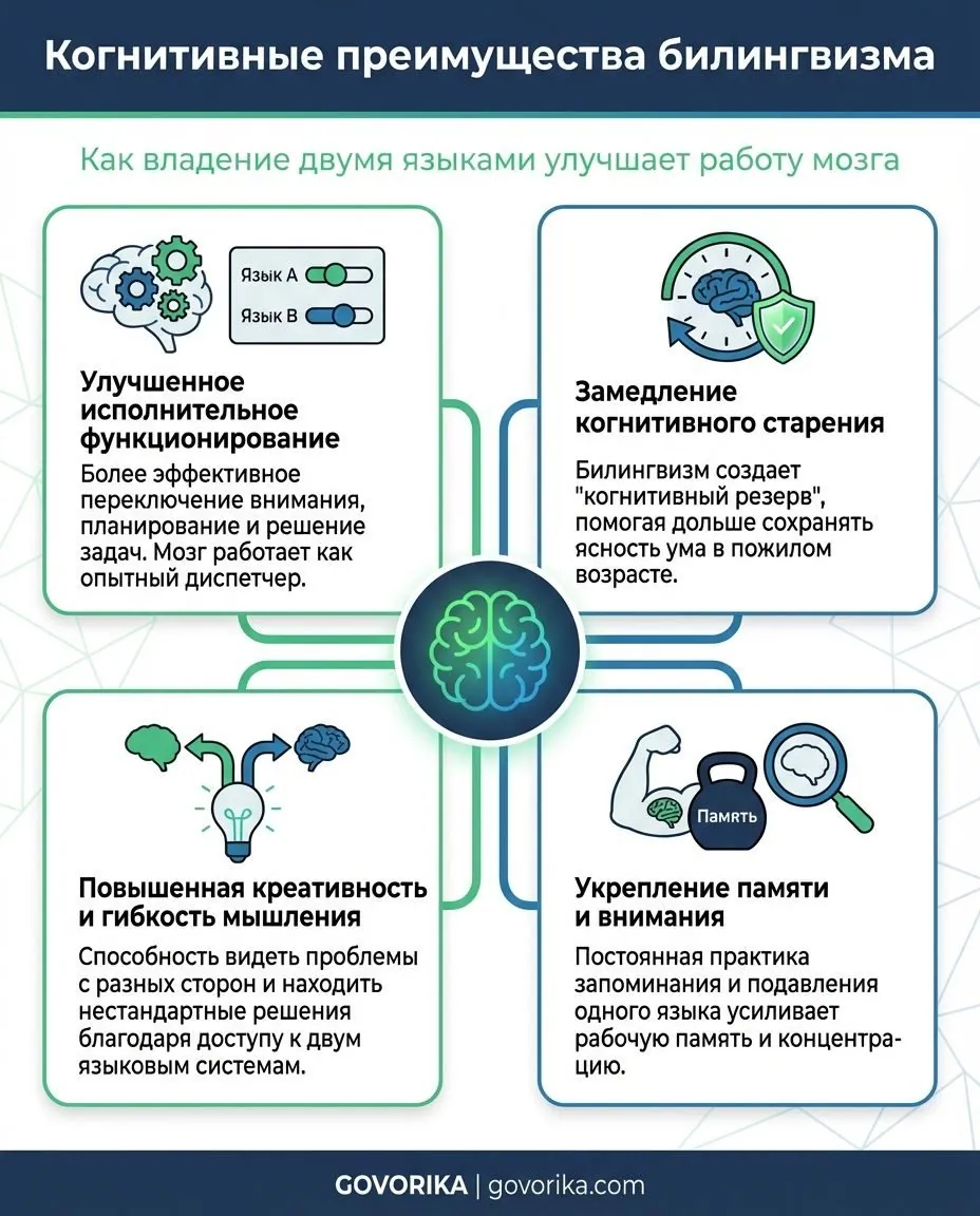 Инфографика GOVORIKA