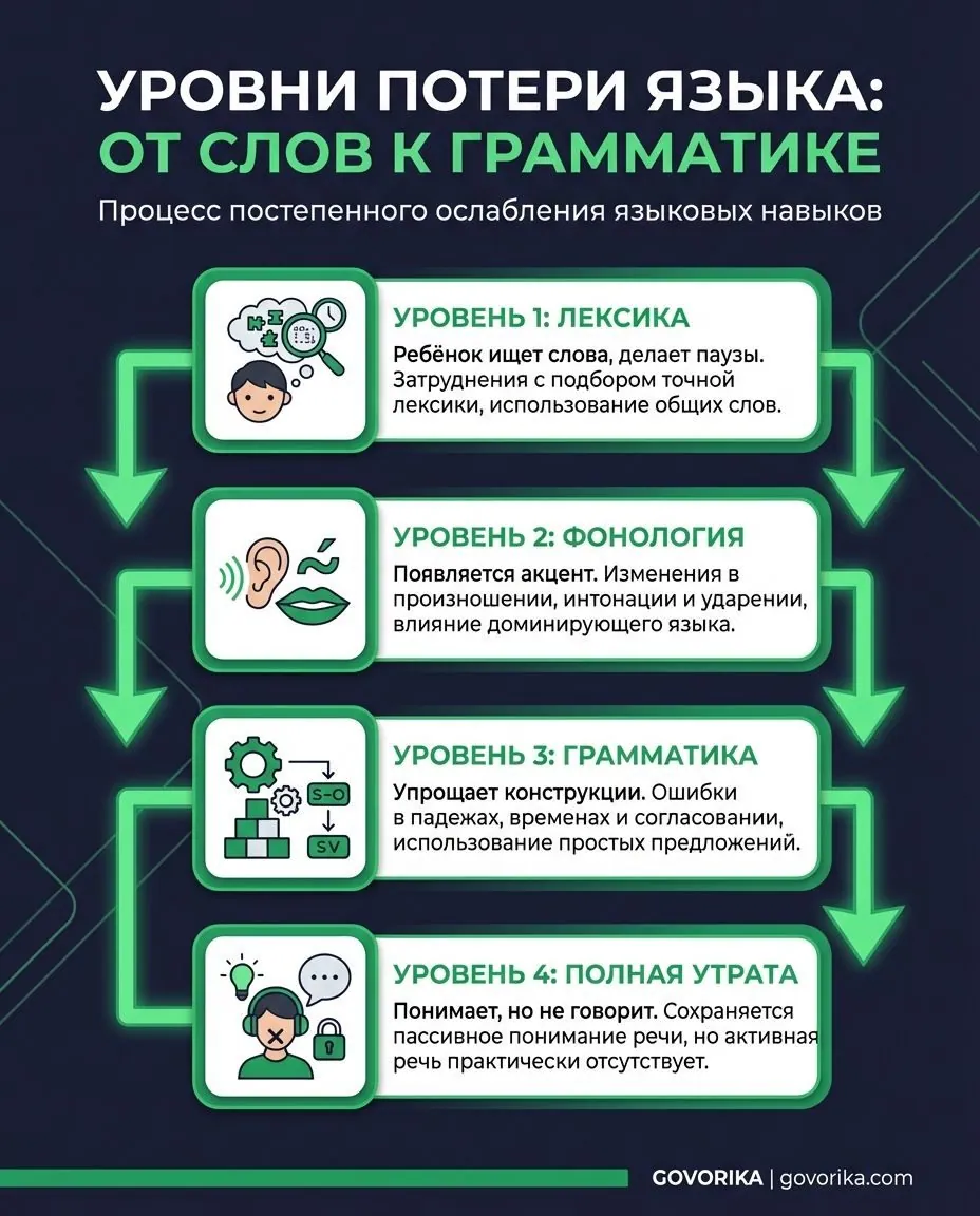 Инфографика GOVORIKA