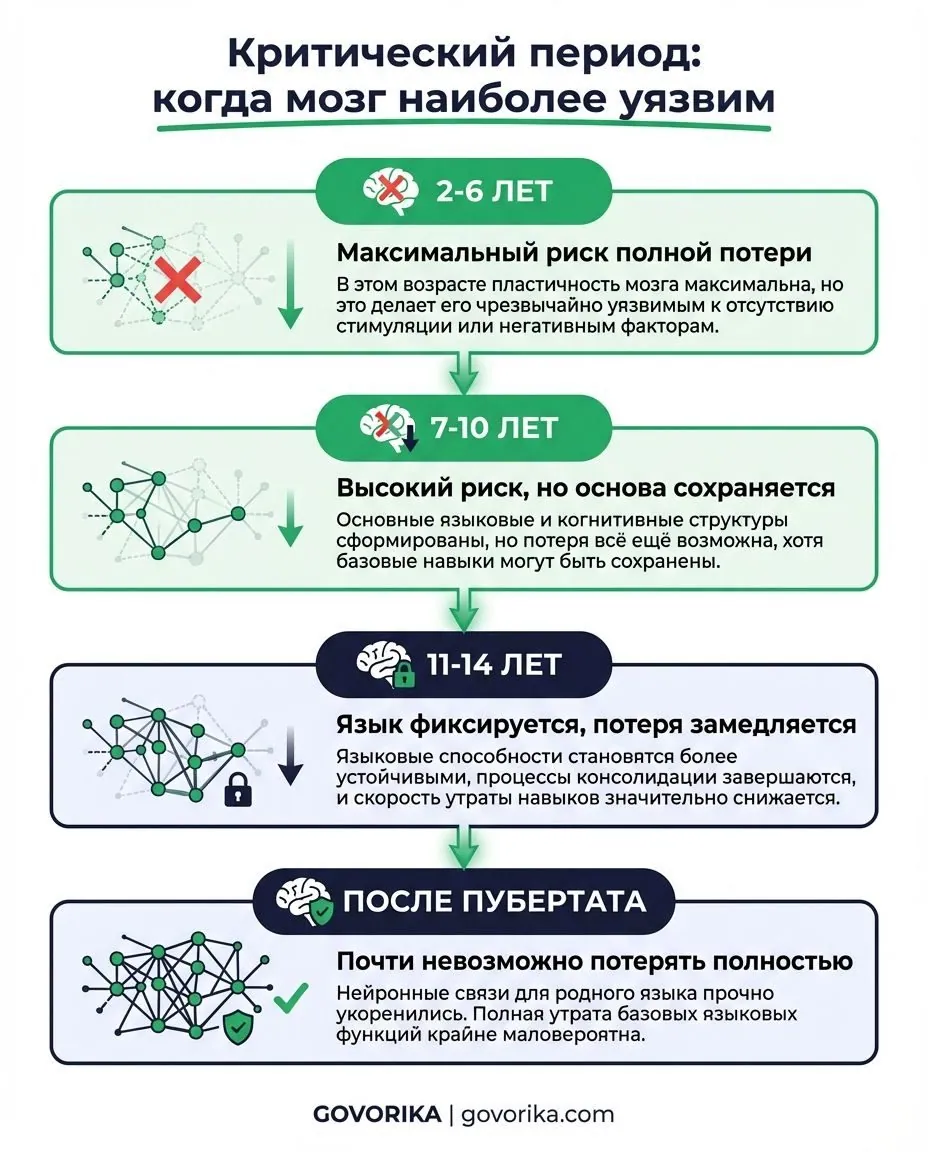 Инфографика GOVORIKA